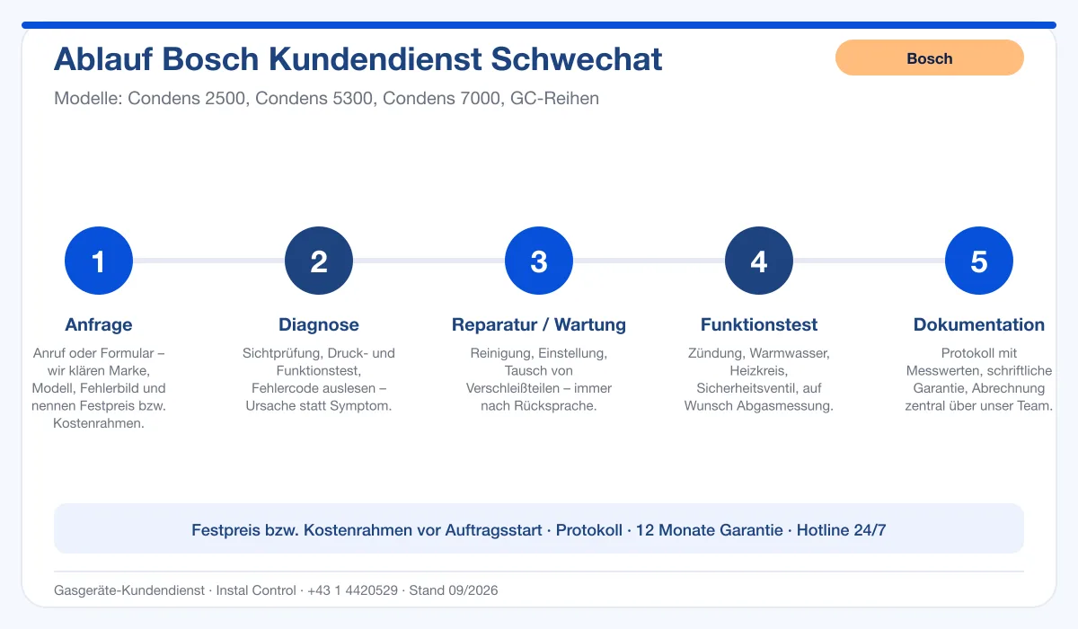 Infografik Ablauf Bosch Kundendienst Schwechat: Anfrage, Diagnose, Service, Funktionstest, Protokoll