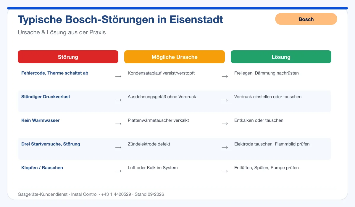 Infografik Bosch Thermenreparatur Eisenstadt: typische Störungen, Ursachen und Lösungen