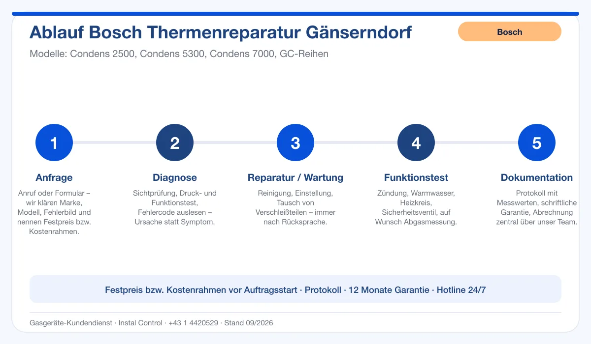 Infografik Ablauf Bosch Thermenreparatur Gänserndorf: Anfrage, Diagnose, Service, Funktionstest, Protokoll