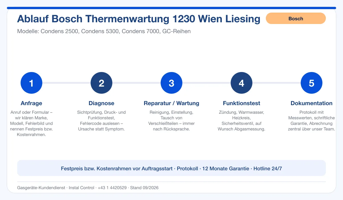 Infografik Ablauf Bosch Thermenwartung 1230 Wien Liesing: Anfrage, Diagnose, Service, Funktionstest, Protokoll