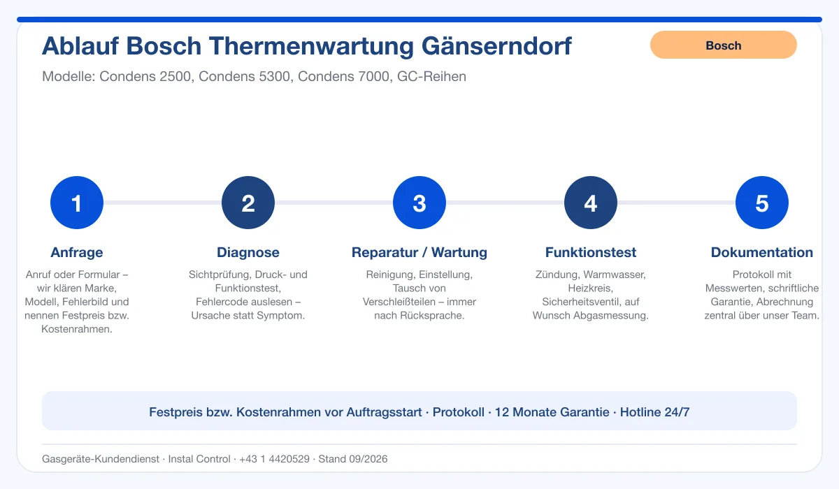 Infografik Ablauf Bosch Thermenwartung Gänserndorf: Anfrage, Diagnose, Service, Funktionstest, Protokoll