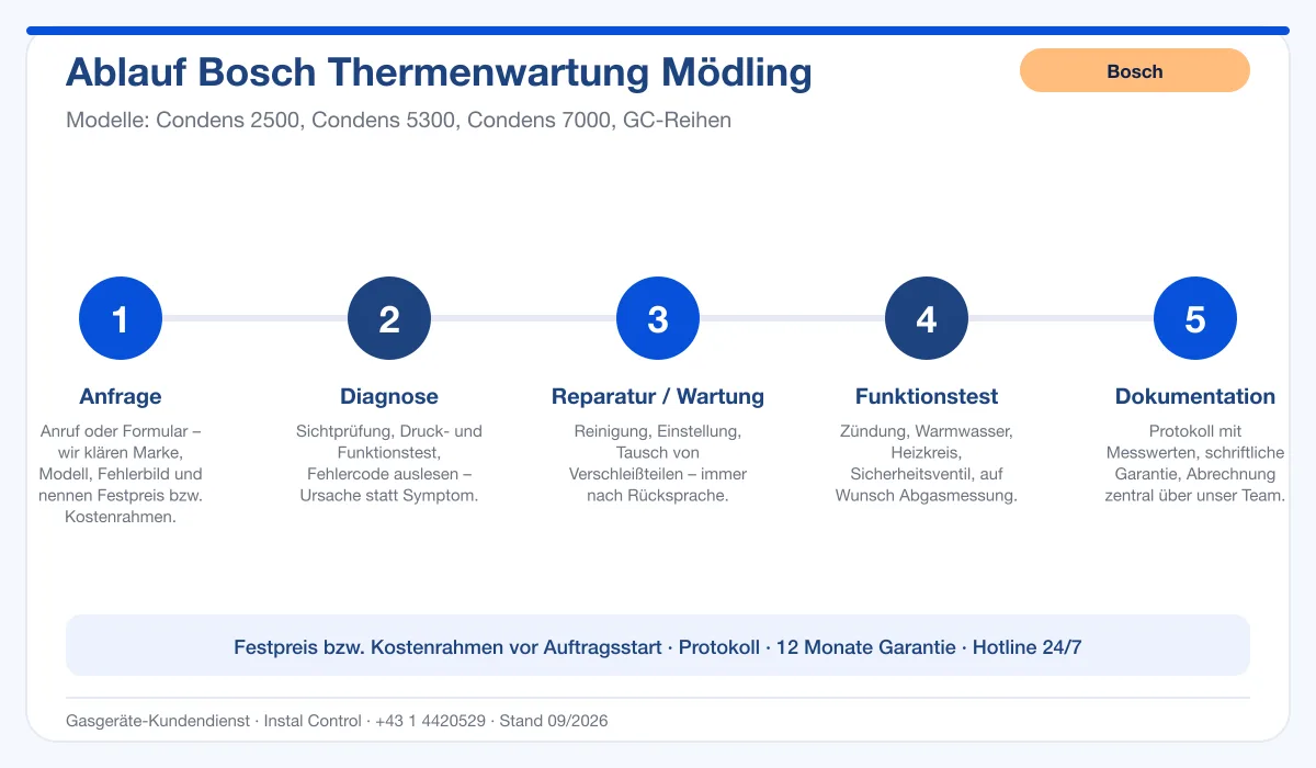 Infografik Ablauf Bosch Thermenwartung Mödling: Anfrage, Diagnose, Service, Funktionstest, Protokoll