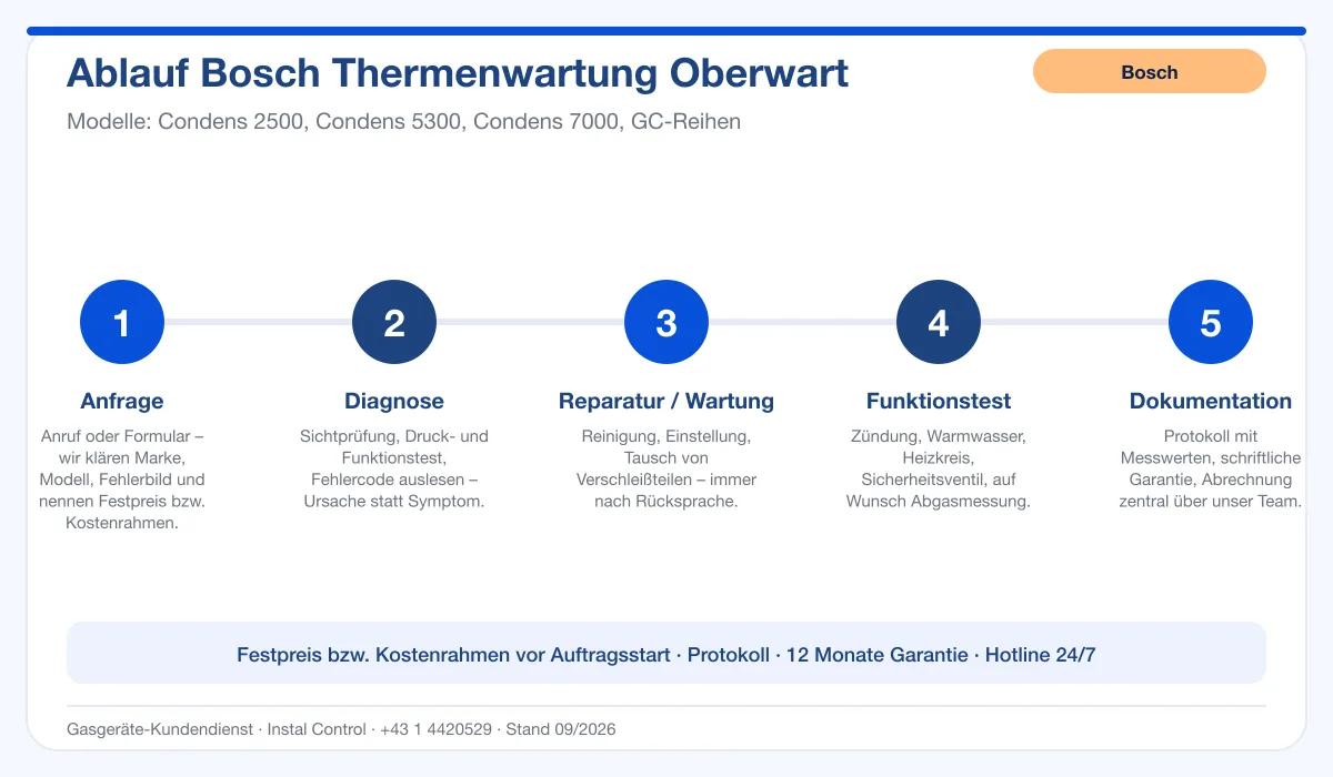 Infografik Ablauf Bosch Thermenwartung Oberwart: Anfrage, Diagnose, Service, Funktionstest, Protokoll