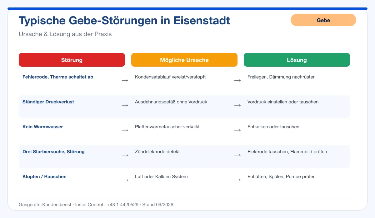 Infografik Gebe Thermenreparatur Eisenstadt: typische Störungen, Ursachen und Lösungen