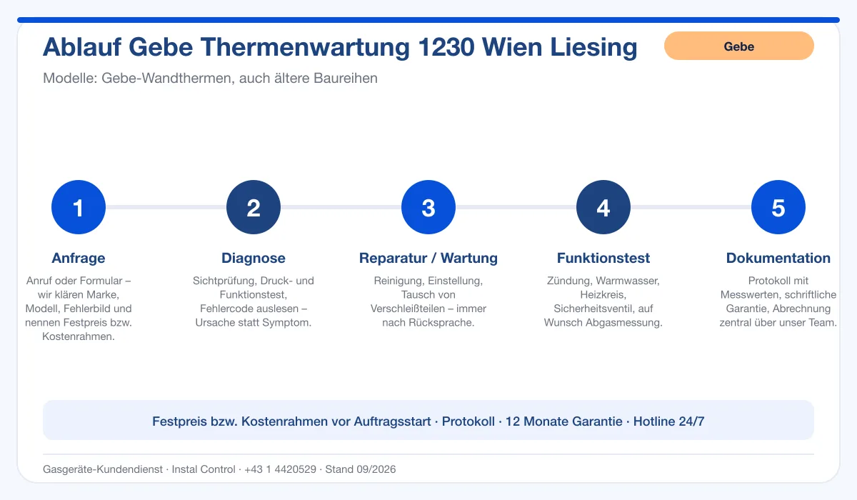 Infografik Ablauf Gebe Thermenwartung 1230 Wien Liesing: Anfrage, Diagnose, Service, Funktionstest, Protokoll