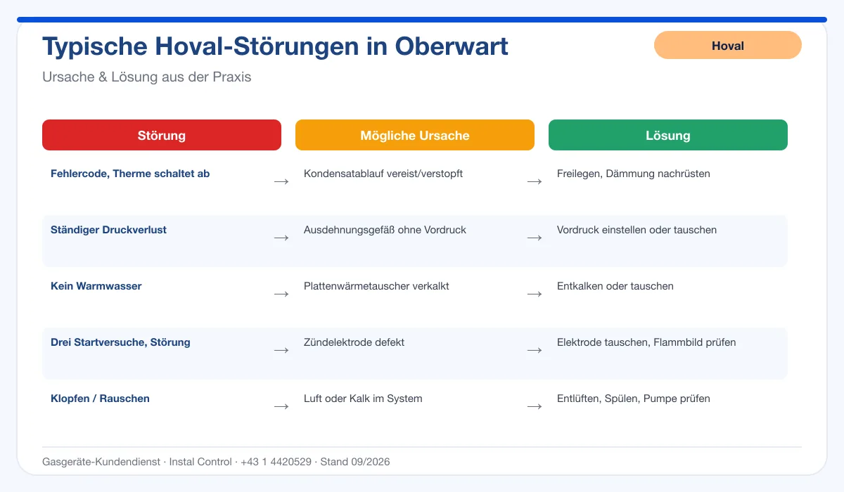 Infografik Hoval Thermenreparatur Oberwart: typische Störungen, Ursachen und Lösungen