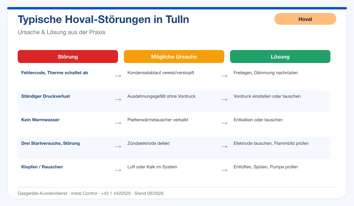 Infografik Hoval Thermenreparatur Tulln: typische Störungen, Ursachen und Lösungen