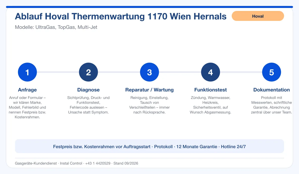 Infografik Ablauf Hoval Thermenwartung 1170 Wien Hernals: Anfrage, Diagnose, Service, Funktionstest, Protokoll