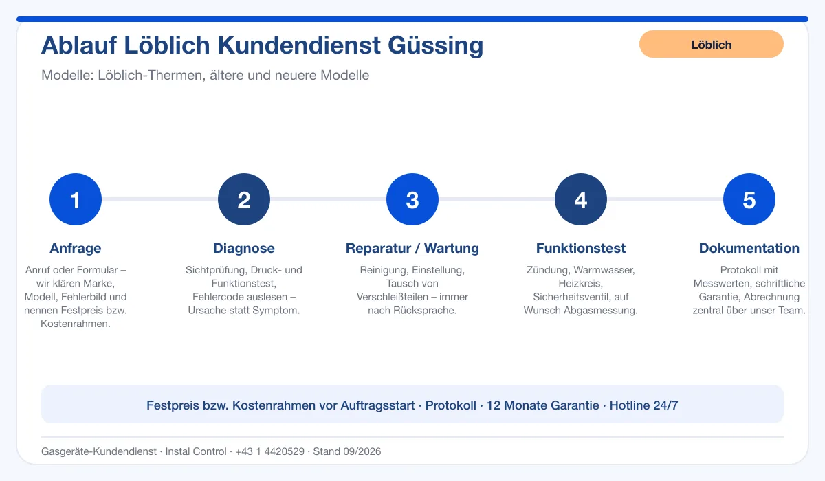 Infografik Ablauf Löblich Kundendienst Güssing: Anfrage, Diagnose, Service, Funktionstest, Protokoll