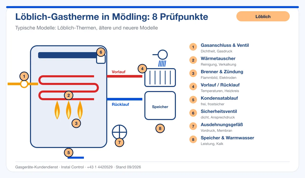 Infografik Löblich Kundendienst Mödling: Aufbau einer Löblich-Gastherme mit 8 Prüfpunkten