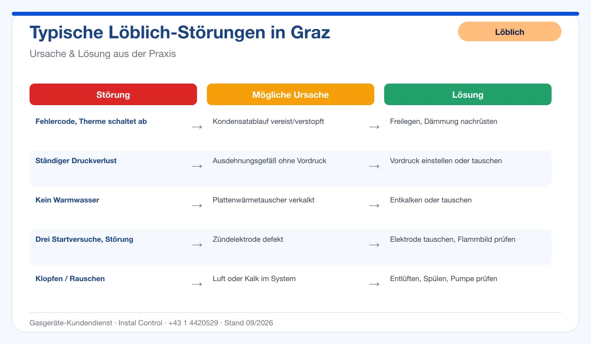 Infografik Löblich Thermenreparatur Graz: typische Störungen, Ursachen und Lösungen