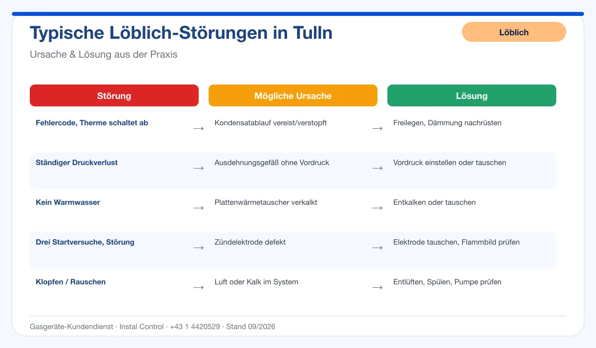 Infografik Löblich Thermenreparatur Tulln: typische Störungen, Ursachen und Lösungen