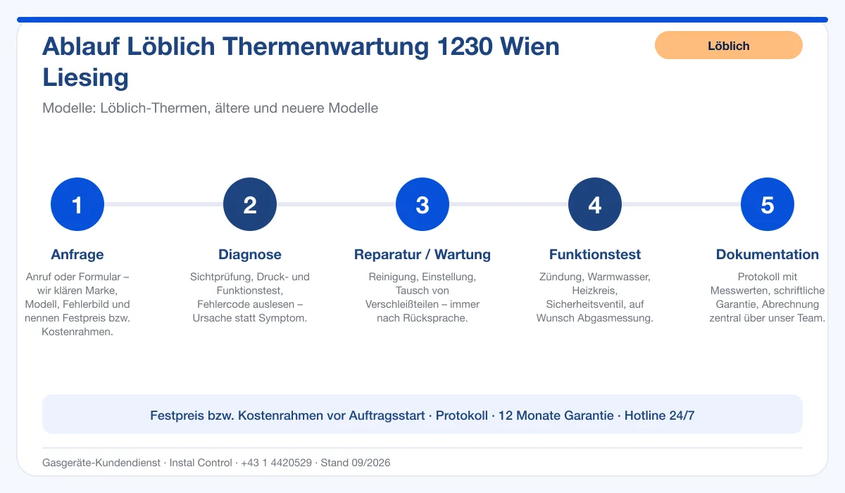 Infografik Ablauf Löblich Thermenwartung 1230 Wien Liesing: Anfrage, Diagnose, Service, Funktionstest, Protokoll