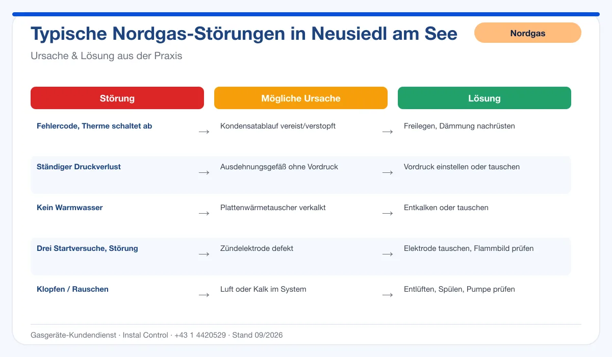 Infografik Nordgas Thermenreparatur Neusiedl am See: typische Störungen, Ursachen und Lösungen