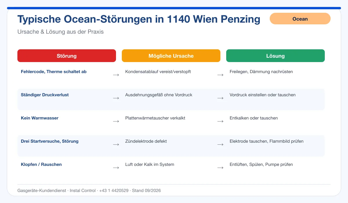 Infografik Ocean Thermenreparatur 1140 Wien Penzing: typische Störungen, Ursachen und Lösungen