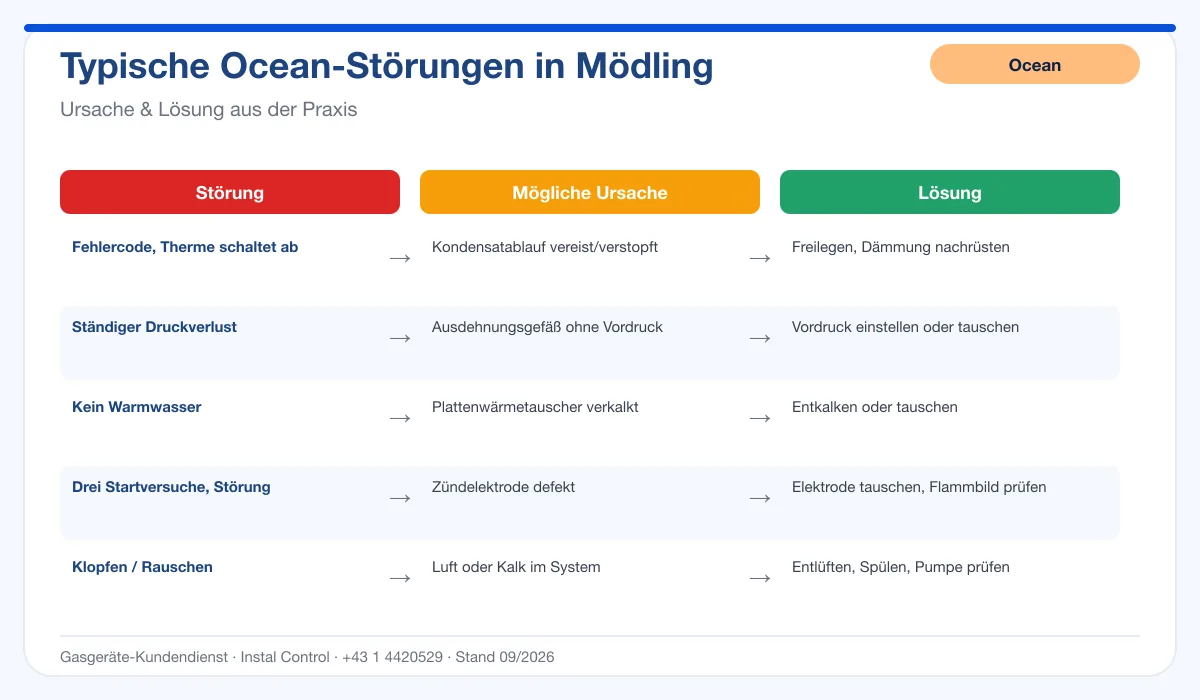 Infografik Ocean Thermenreparatur Mödling: typische Störungen, Ursachen und Lösungen