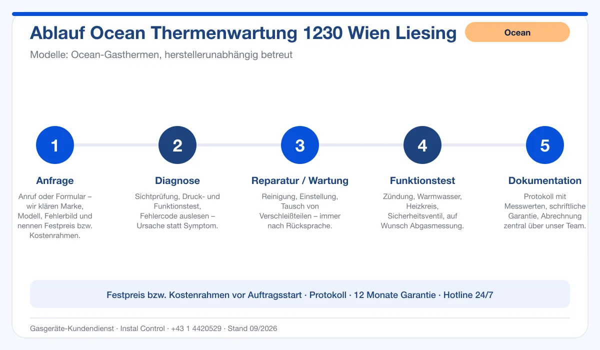 Infografik Ablauf Ocean Thermenwartung 1230 Wien Liesing: Anfrage, Diagnose, Service, Funktionstest, Protokoll