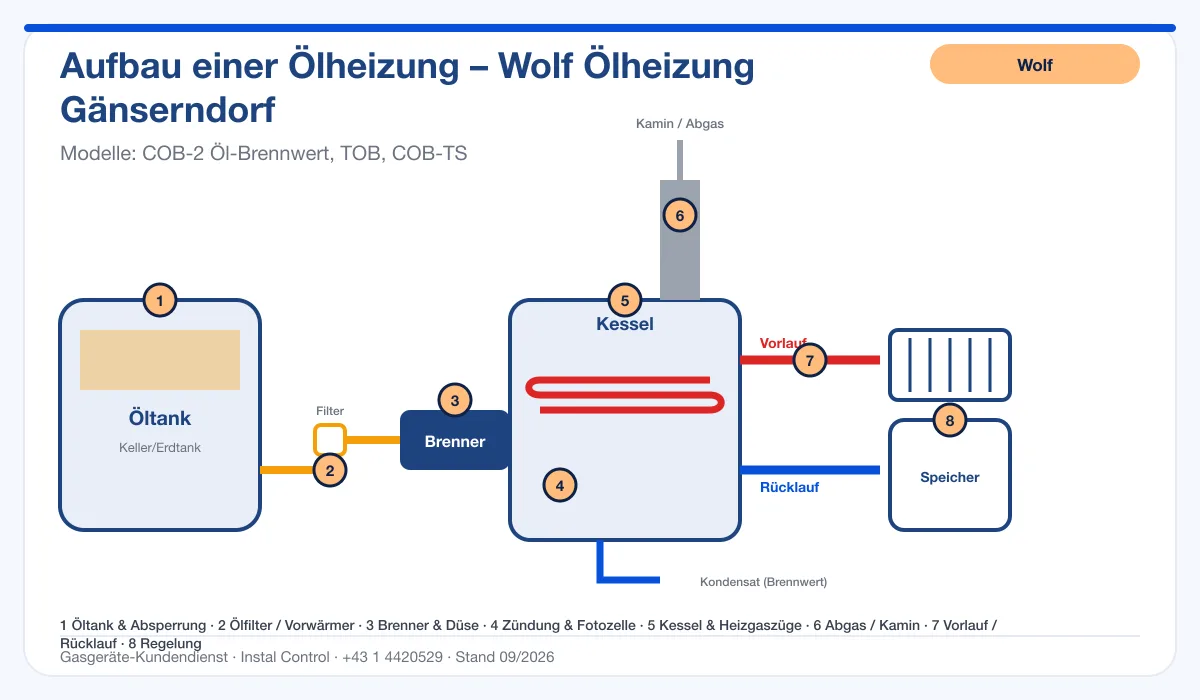 Infografik Wolf Ölheizung Gänserndorf: Aufbau einer Ölheizung von Tank bis Kamin mit 8 Prüfpunkten