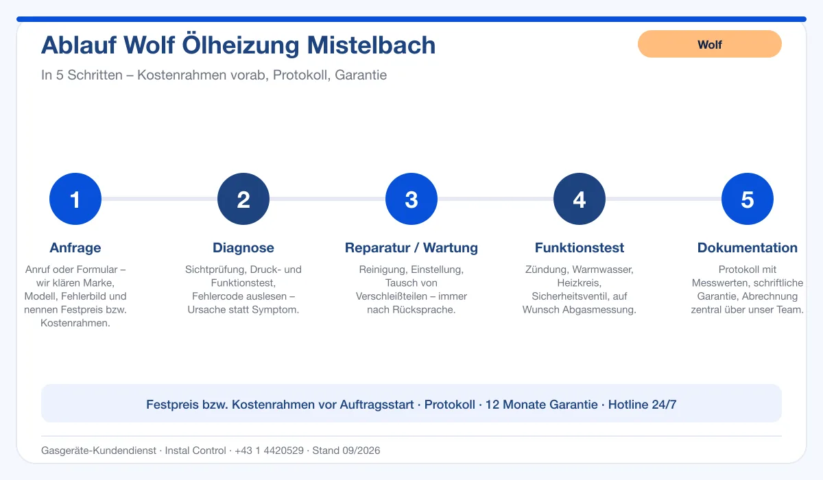 Infografik Ablauf Wolf Ölheizung Mistelbach: Anfrage, Diagnose, Service, Funktionstest, Protokoll