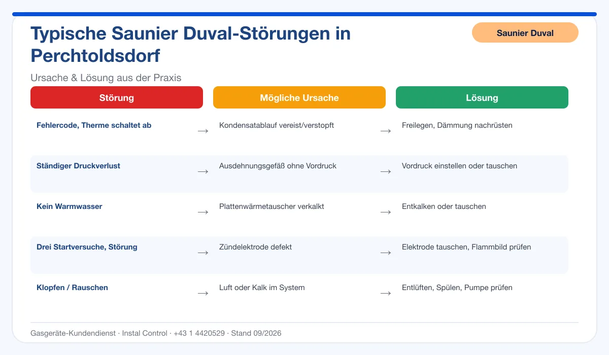 Infografik Saunier Duval Thermenreparatur Perchtoldsdorf: typische Störungen, Ursachen und Lösungen