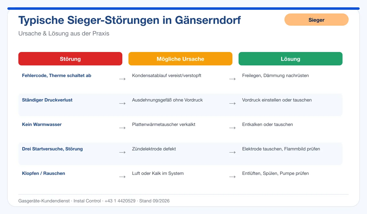 Infografik Sieger Thermenreparatur Gänserndorf: typische Störungen, Ursachen und Lösungen