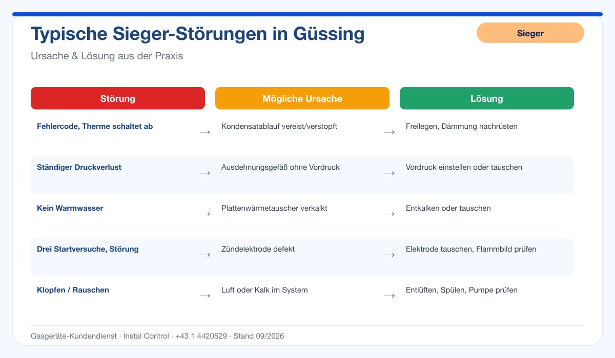 Infografik Sieger Thermenreparatur Güssing: typische Störungen, Ursachen und Lösungen