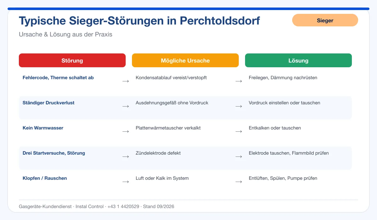 Infografik Sieger Thermenreparatur Perchtoldsdorf: typische Störungen, Ursachen und Lösungen