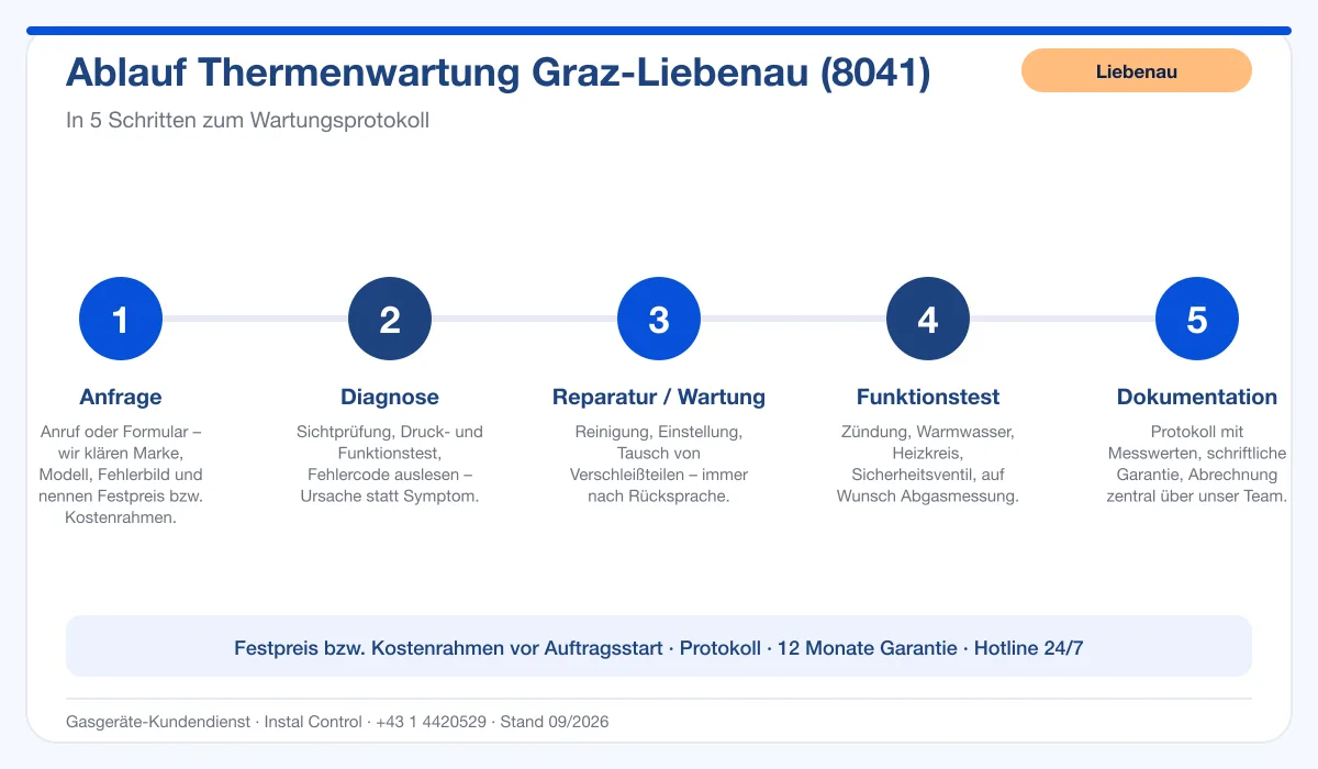 Infografik Ablauf Thermenwartung Graz Liebenau 8041: Anfrage, Diagnose, Wartung, Funktionstest, Protokoll