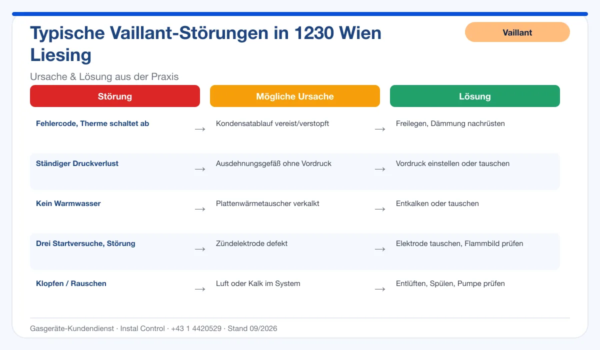 Infografik Vaillant Thermenreparatur 1230 Wien Liesing: typische Störungen, Ursachen und Lösungen
