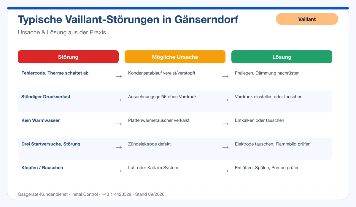 Infografik Vaillant Thermenreparatur Gänserndorf: typische Störungen, Ursachen und Lösungen