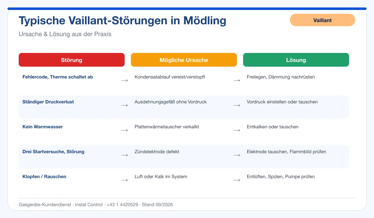 Infografik Vaillant Thermenreparatur Mödling: typische Störungen, Ursachen und Lösungen
