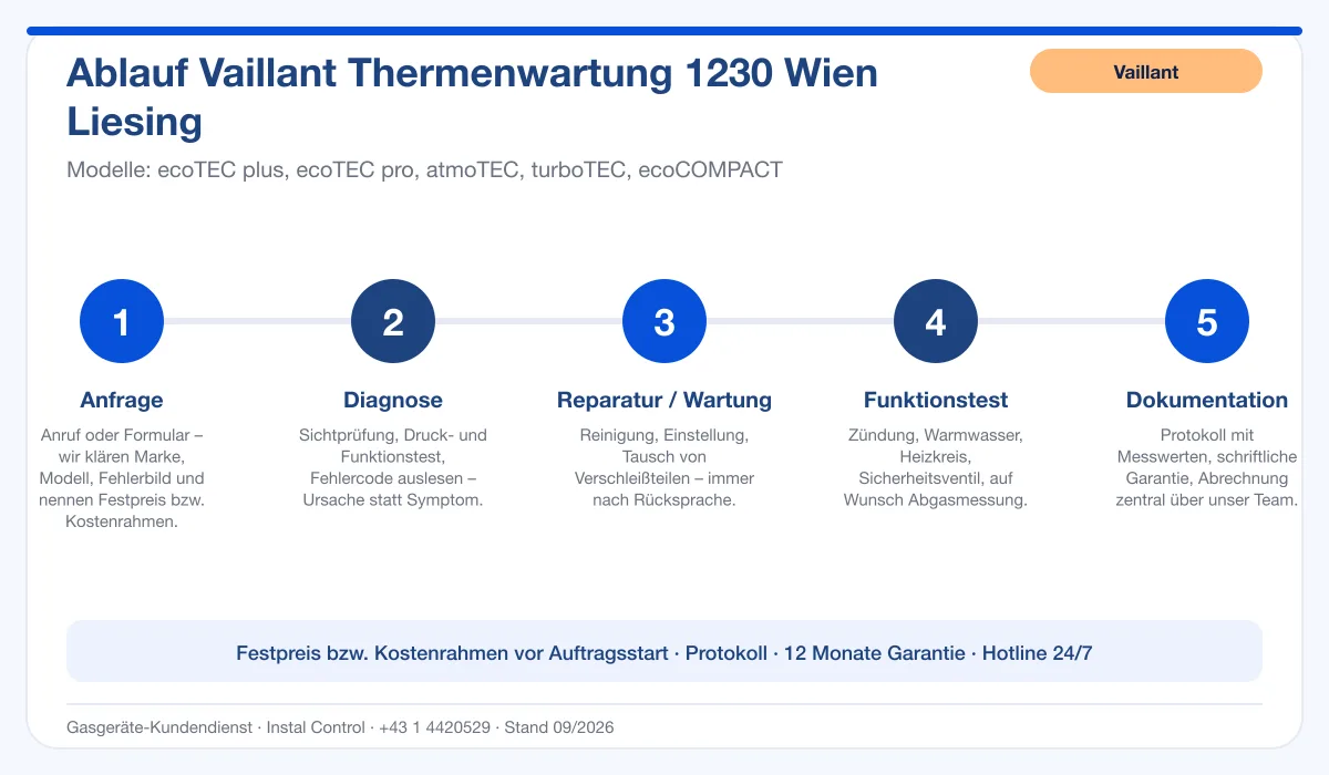 Infografik Ablauf Vaillant Thermenwartung 1230 Wien Liesing: Anfrage, Diagnose, Service, Funktionstest, Protokoll