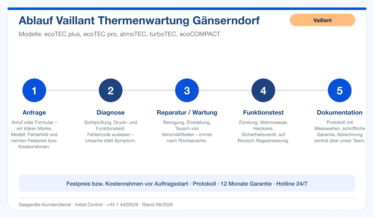 Infografik Ablauf Vaillant Thermenwartung Gänserndorf: Anfrage, Diagnose, Service, Funktionstest, Protokoll