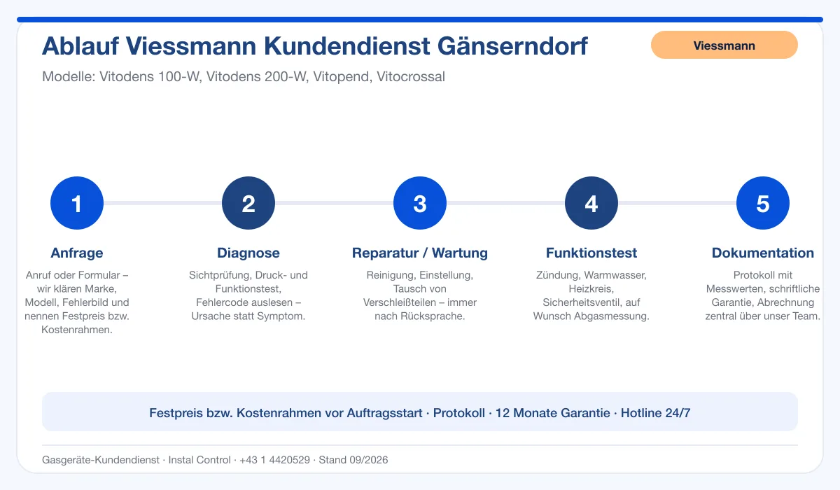 Infografik Ablauf Viessmann Kundendienst Gänserndorf: Anfrage, Diagnose, Service, Funktionstest, Protokoll