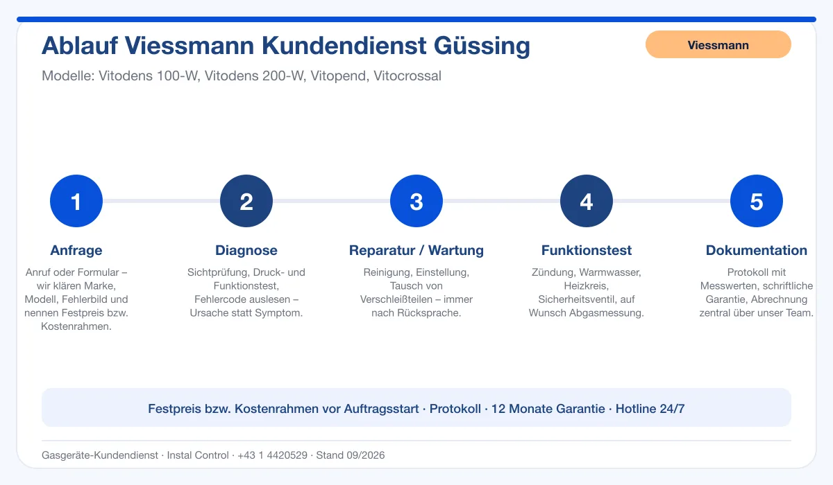Infografik Ablauf Viessmann Kundendienst Güssing: Anfrage, Diagnose, Service, Funktionstest, Protokoll