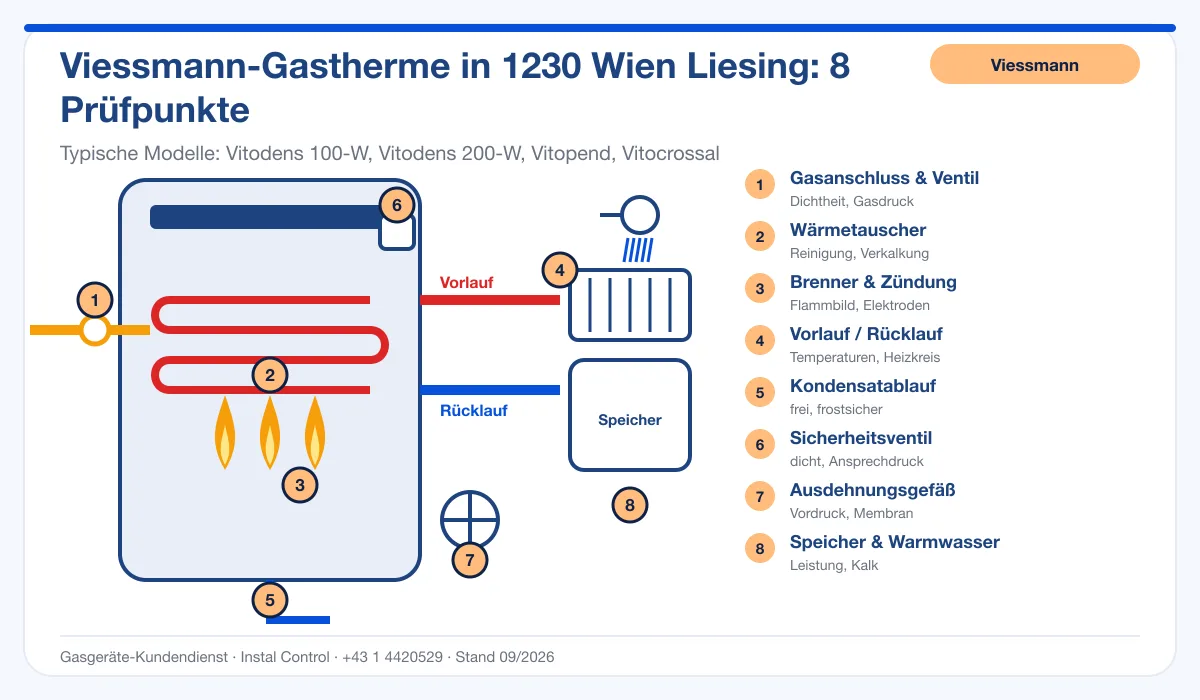 Infografik Viessmann Thermenreparatur 1230 Wien Liesing: Aufbau einer Viessmann-Gastherme mit 8 Prüfpunkten