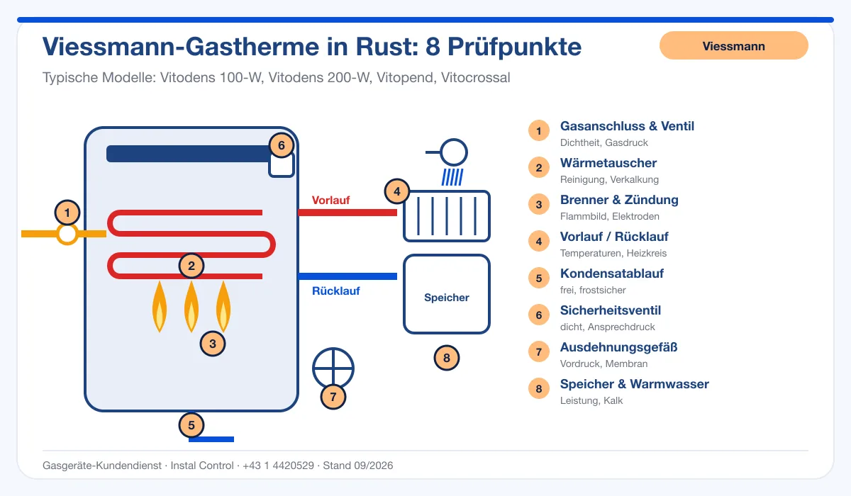 Infografik Viessmann Thermenreparatur Rust: Aufbau einer Viessmann-Gastherme mit 8 Prüfpunkten