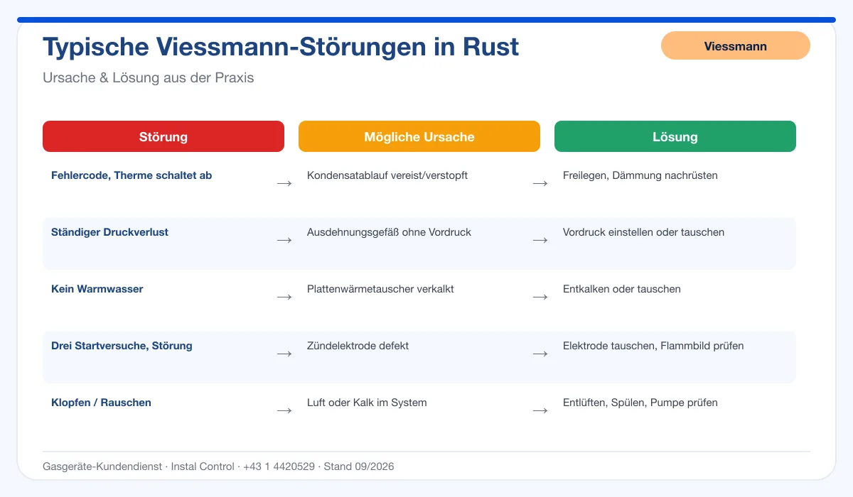 Infografik Viessmann Thermenreparatur Rust: typische Störungen, Ursachen und Lösungen
