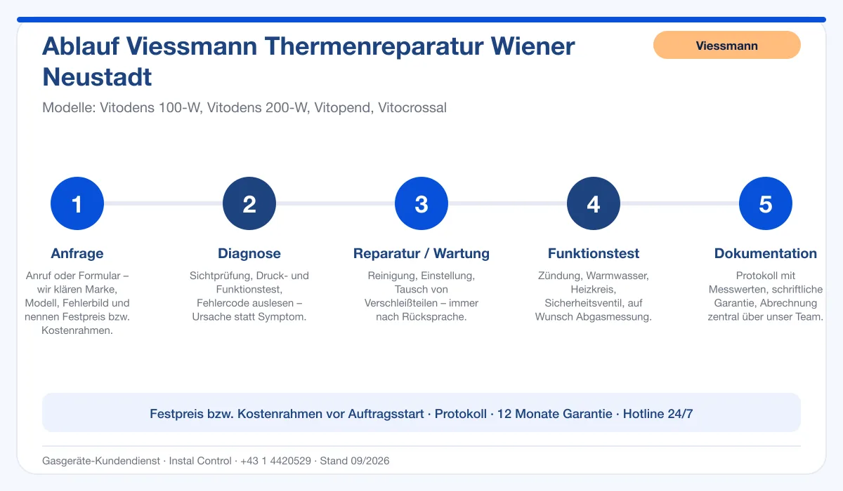 Infografik Ablauf Viessmann Thermenreparatur Wiener Neustadt: Anfrage, Diagnose, Service, Funktionstest, Protokoll