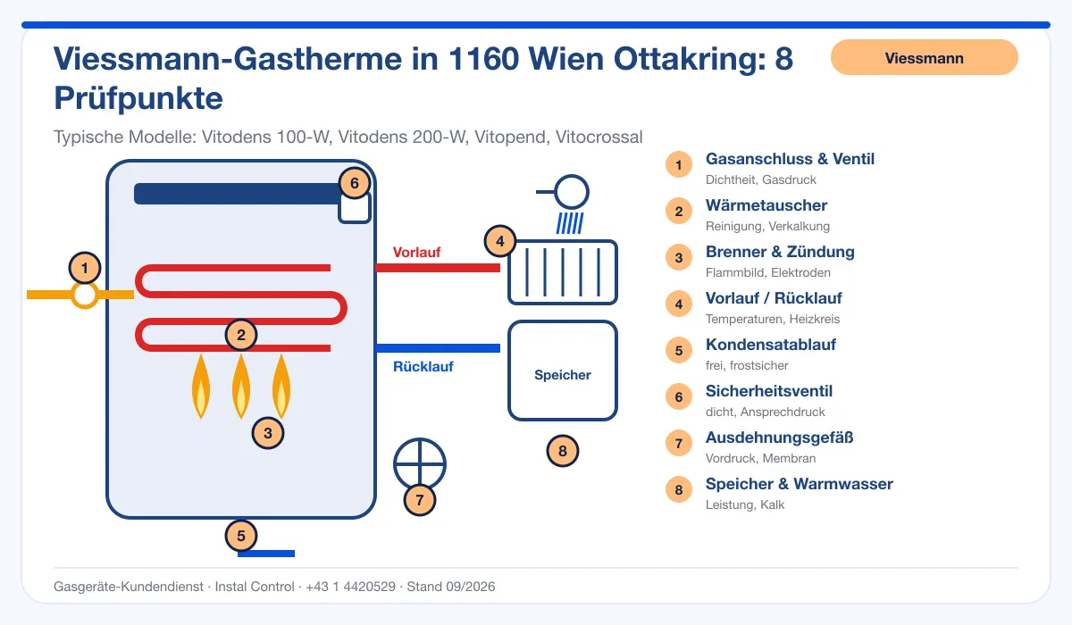 Infografik Viessmann Thermenwartung 1160 Wien Ottakring: Aufbau einer Viessmann-Gastherme mit 8 Prüfpunkten