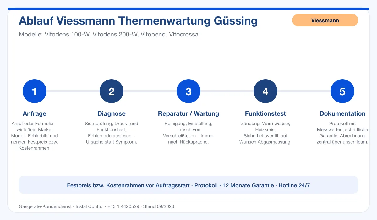 Infografik Ablauf Viessmann Thermenwartung Güssing: Anfrage, Diagnose, Service, Funktionstest, Protokoll