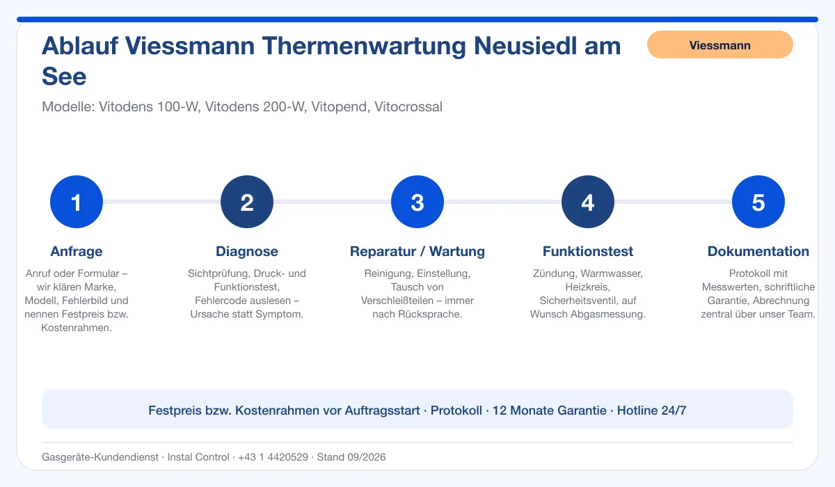 Infografik Ablauf Viessmann Thermenwartung Neusiedl am See: Anfrage, Diagnose, Service, Funktionstest, Protokoll