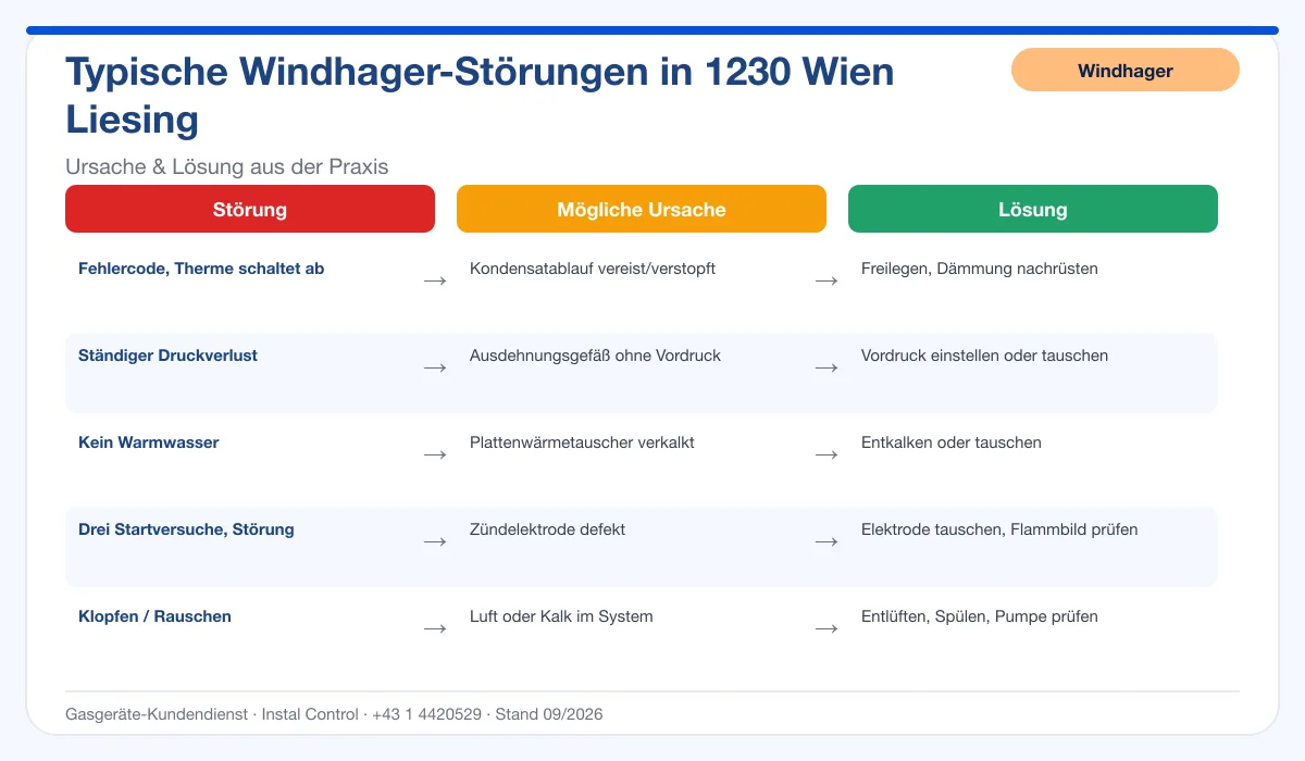 Infografik Windhager Thermenreparatur 1230 Wien Liesing: typische Störungen, Ursachen und Lösungen