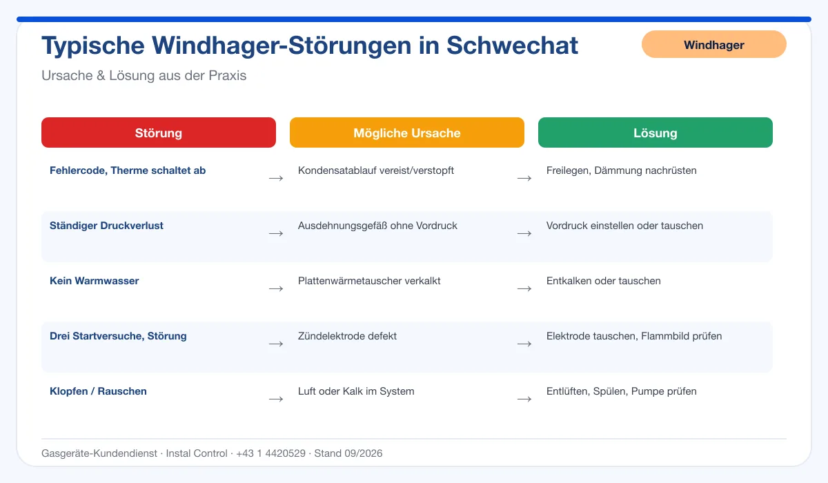 Infografik Windhager Thermenreparatur Schwechat: typische Störungen, Ursachen und Lösungen