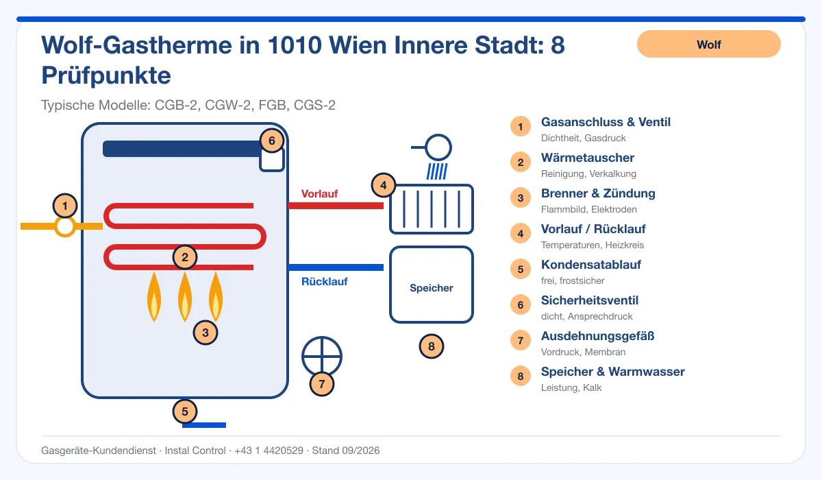 Infografik Wolf Kundendienst 1010 Wien Innere Stadt: Aufbau einer Wolf-Gastherme mit 8 Prüfpunkten