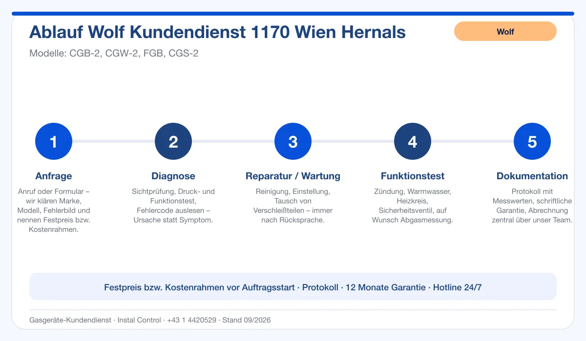 Infografik Ablauf Wolf Kundendienst 1170 Wien Hernals: Anfrage, Diagnose, Service, Funktionstest, Protokoll