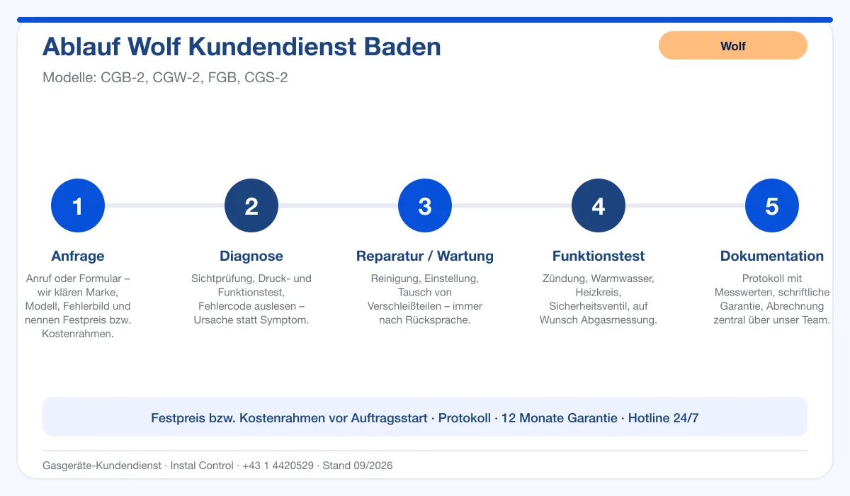 Infografik Ablauf Wolf Kundendienst Baden: Anfrage, Diagnose, Service, Funktionstest, Protokoll