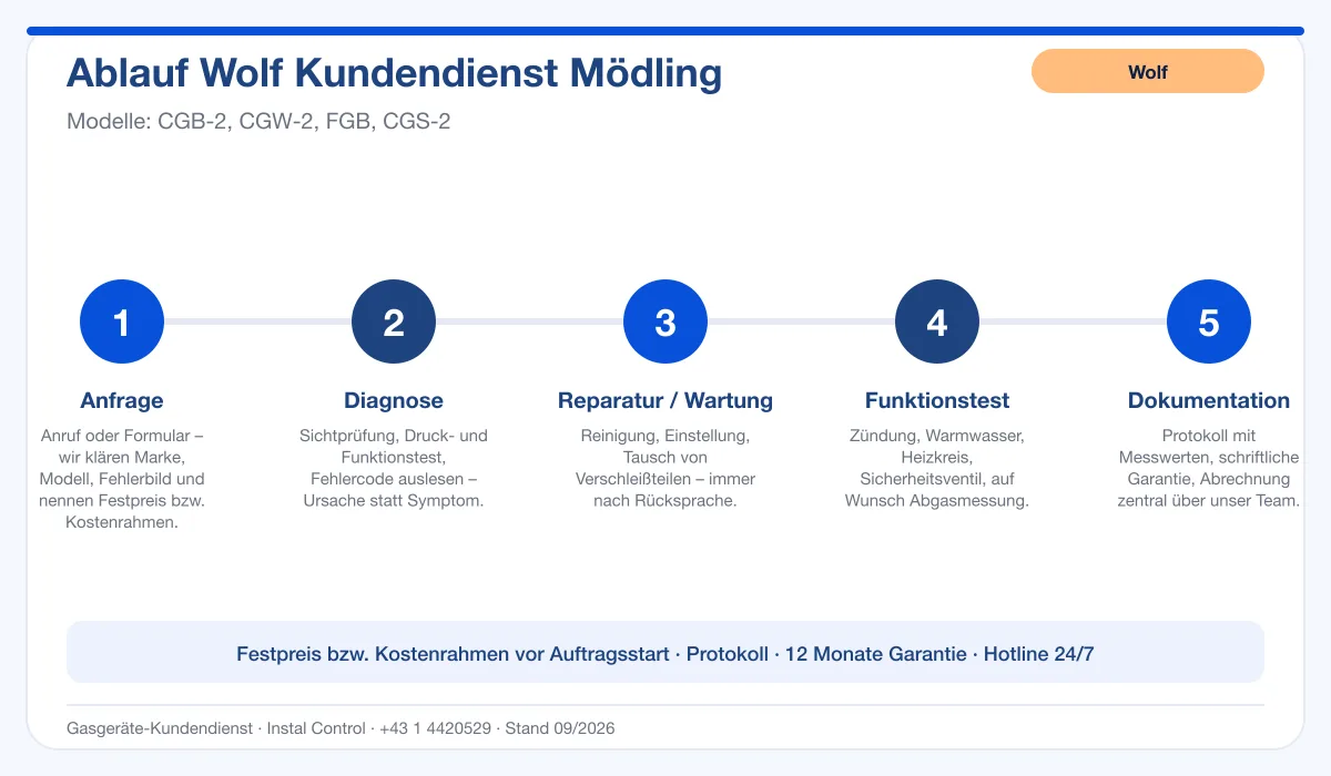 Infografik Ablauf Wolf Kundendienst Mödling: Anfrage, Diagnose, Service, Funktionstest, Protokoll