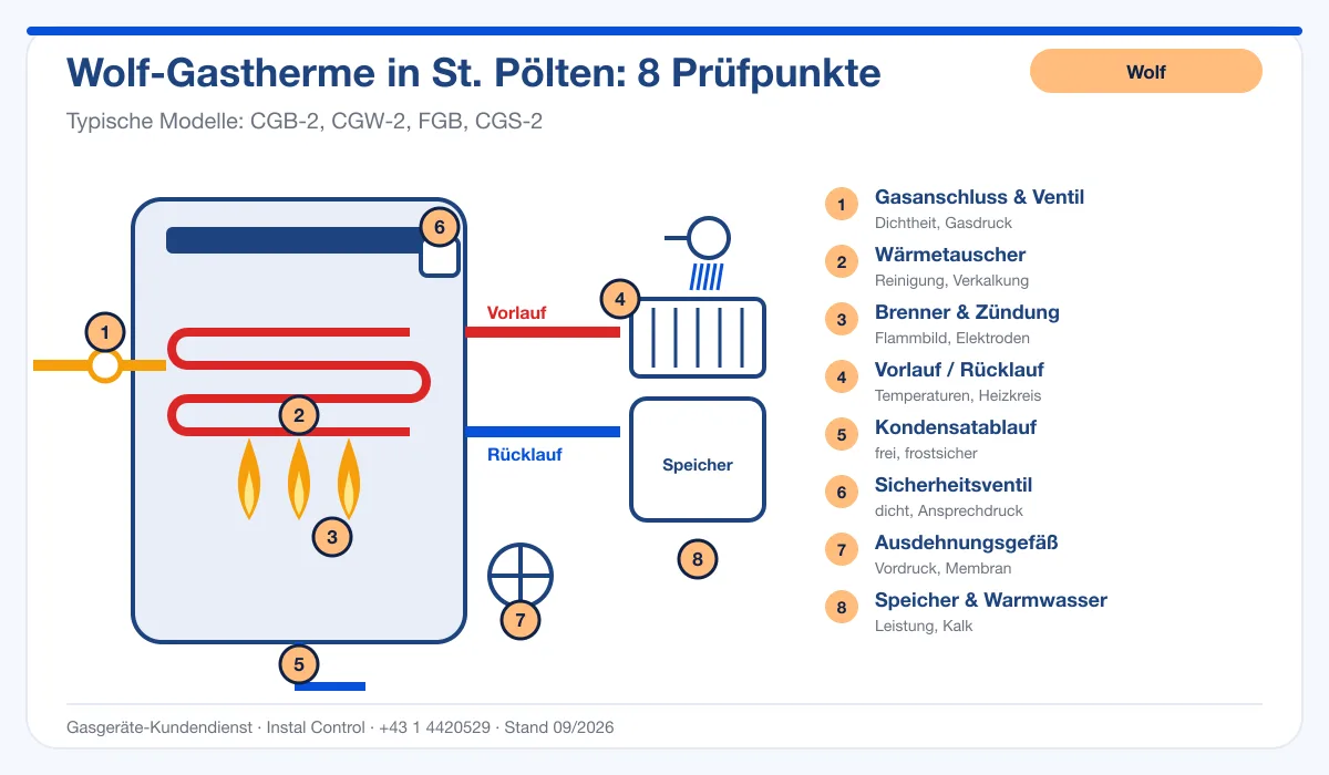Infografik Wolf Kundendienst St. Pölten: Aufbau einer Wolf-Gastherme mit 8 Prüfpunkten