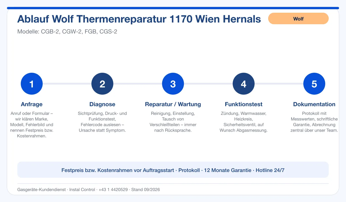 Infografik Ablauf Wolf Thermenreparatur 1170 Wien Hernals: Anfrage, Diagnose, Service, Funktionstest, Protokoll
